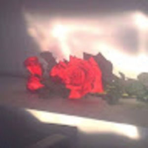 Meet your Posher, Logan